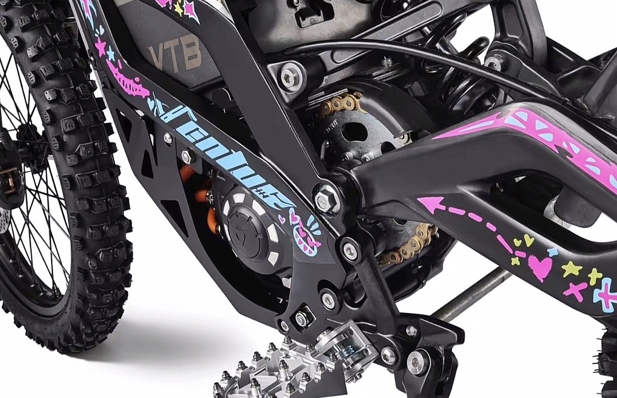 VENTUS E-Bike
