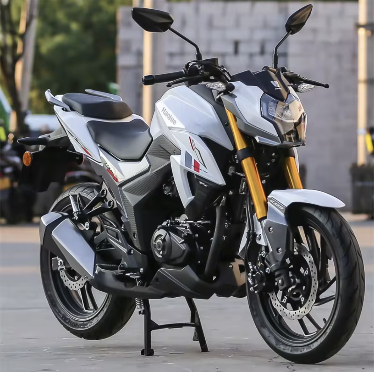 Moto de rue Haojue DR150S