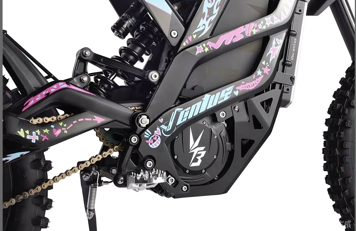VENTUS E-Bike